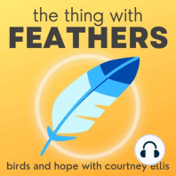 14: Practicing Curiosity, Birds of Saskatchewan, + Mary the Blue Jay (microbiologist Dr. Janet Hill)