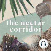 What's in a Mezcal? - From the Field to the Oven