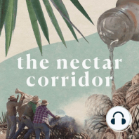 The Nectar Corridor