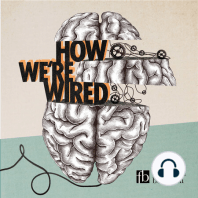 Finale - How Are We Wired?