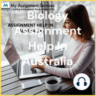 Programming Assignment Help