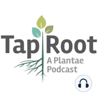 S2E1: Phenotyping Roots without Pulling up Your Own with Guillaume Lobet