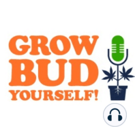 Grow Bud Yourself Episode 118 - Guest: Caitlin Donohue