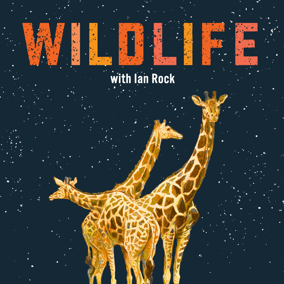 Why Are Hippos So Dangerous? | Wildlife with Ian Rock Podcast