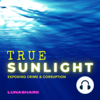 NEW Trailer: True Sunlight,  Exposing Crime & Corruption