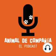 S1 Ep15: # 14 Coqueteamos con un canal de Youtube de Animal de Compañía!