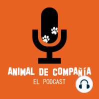 S1 Ep33: PRIMER ANIVERSARIO!!!!!!!