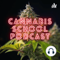 Cannabis School Presents - Mons Pura Mark