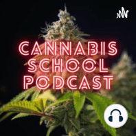 Cannabis School Presents - Infusion flavor explosions