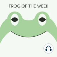 Clown Tree Frog | Week of August 7th