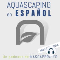 Episodio #104: Fertilizantes para el acuario, orden y compatibilidades