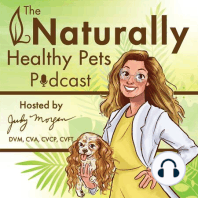 EP 14: What Are Adaptogens? And How They Help Our Senior Pets Fight Disease and Slow Down Degeneration with Angela Ardolino