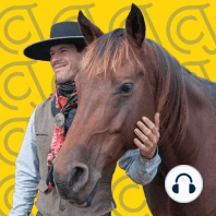 Is It Ok To Use Voice Commands On A Horse?