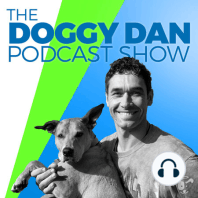 Show 68: Stop Barking By Acknowledging Danger: Doggy Dan Golden Rule #4