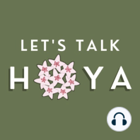 Episode 29: Let's Talk Hoarding Hoya and Hoya items