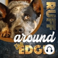 031 | Georgie of Trickwoofs on compassion fatigue in the dog training world, the parallels with raising a human child, learning to love frustration and more