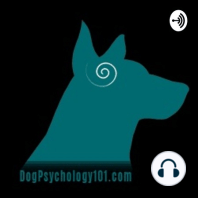 Dog Psychology vs. Human Psychology