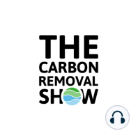 S2 #9 | Ocean-based carbon removal part 1: What's so special about kelp?