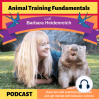 38 - The History of Giraffe Training with Amy Phelps