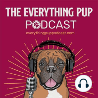 Welcome to the Everything Pup Podcast!