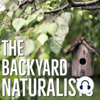 Unveiling Our Nature Passions: The Backyard Naturalists Season 2 Finale, Part One