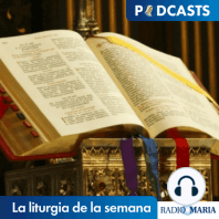 La liturgia de la semana 13/10/18