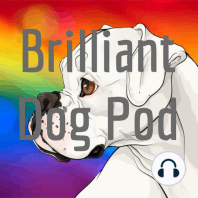 Part 1 - Navigating Racism & Disability in the Dog Training Industry with Karishma Warr