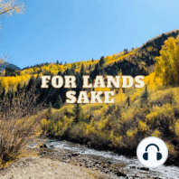 For Land's Sake | Eileen Kemp