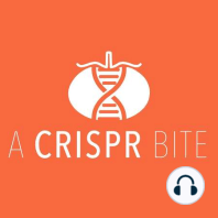 Introducing A CRISPR Bite