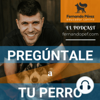 Episodio184 - Cómo influyen los castigos en tu perro