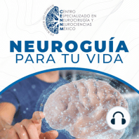 E4: Conversando con la enfermedad vascular cerebral