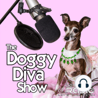 The Doggy Diva Show - Episode 26 Pet Walking App | New Years Resolutions | Inspiring Pet Author and Illustrator