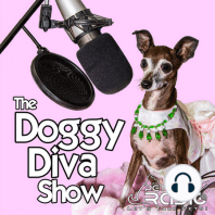 The Doggy Diva Show - Episode 55 Fruit Seed Dangers to Pets | Winter Pet Safety Practices | Puppy Separation Anxiety | Pet Loss Grieving