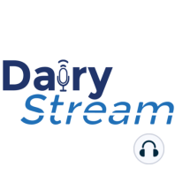 Dairy Streamlet: The future of dairy processing