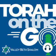 Introducing: Torah on the Go