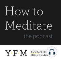 How to Meditate: Observations
