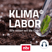 Trinkwasserskandal in der Lausitz: "Das Dementi der LEAG ist voller Fehler"