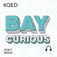 Bay Curious Lightning Round: Inspiration for AT-ATs, the ‘Tenderloin’ and Popeye’s Voice