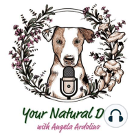 17. Benefits of a Lightly Cooked Diet for Dogs with Hanna Mandelbaum