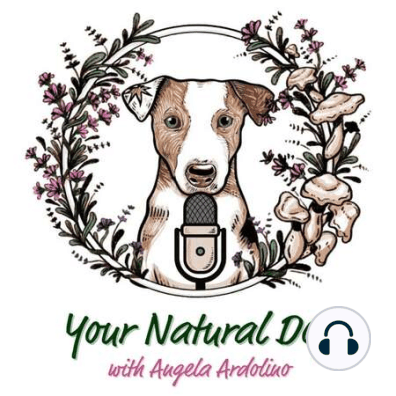 Save All the Damn Dogs with Rachel Fusaro on Your Natural Dog Podcast