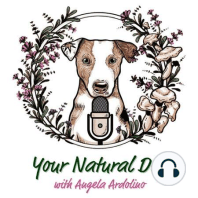 36. Adrenal Disorders In Dogs with Dr. Ruth Roberts