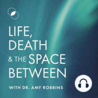 Living in 5D Consciousness with Kimberly Meredith