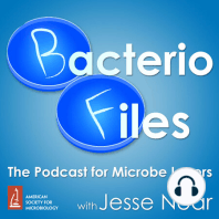 484: Bacteriophages Boost Brains