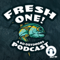 Introduction to Fresh One!