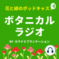 京都大学のシンボルツリーを語る【京大】