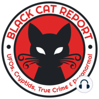 7 | Black Cats Are Good Luck! The History of Black Cats, from Prosperity to Persecution w/ Binx's Home for Black Cats