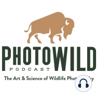 Episode 16: Artificial Intelligence is Revolutionizing Birds in Flight Photography