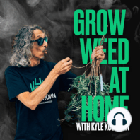 Journey into Cannabis Breeding: Humboldt, South America, & Europe with Leo Stone - Episode 7 of Grow Weed at Home with Kyle Kushman