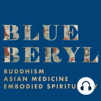 BONUS: "Buddhish" and "Buddhist Medicine," with Pierce Salguero (rebroadcasted from the Imperfect Buddha Podcast)