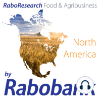 Rabobank European Grains Tour | Focus On Ukraine